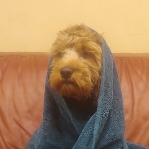 Meet your Posher, Cami